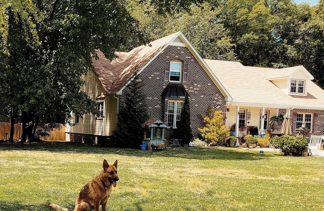 Charming 1-bedroom house in Petersburg with AC, WiFi. Enjoy your stay