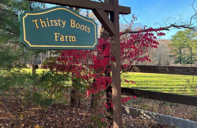 Charming 2-bedroom farm cottage in quiet Killingworth neighborhood