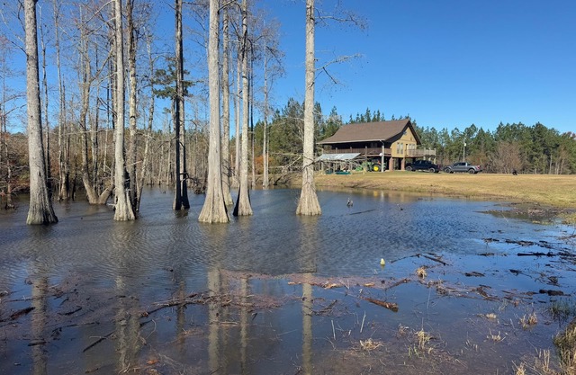 Charming 3-bedroom cabin with WiFi, AC on Escatawpa River in Lucedale MS
