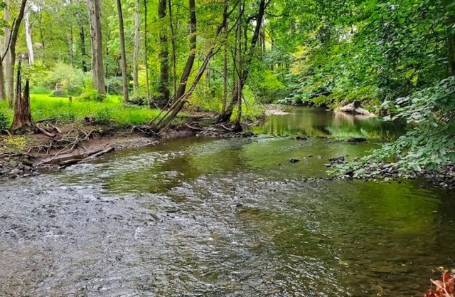 Charming 4-bedroom house with AC, WiFi in brilliant Delaware Water Gap