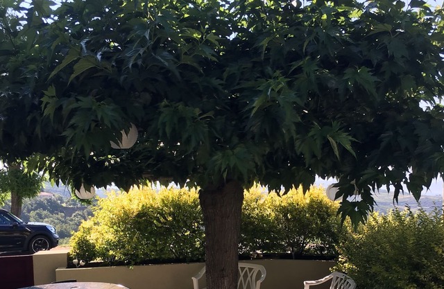 Charming apartment with view of st florent