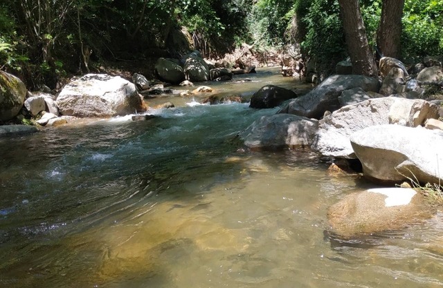 Charming cottage * near Carcassonne