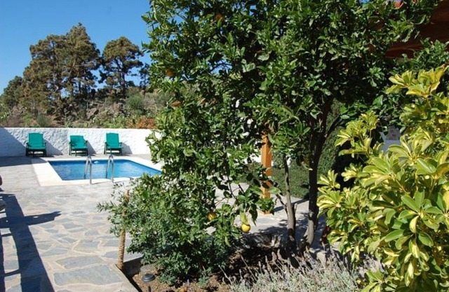 Charming Casa Sofia: Tranquil Private Home with Pool, BBQ in Las Vegas