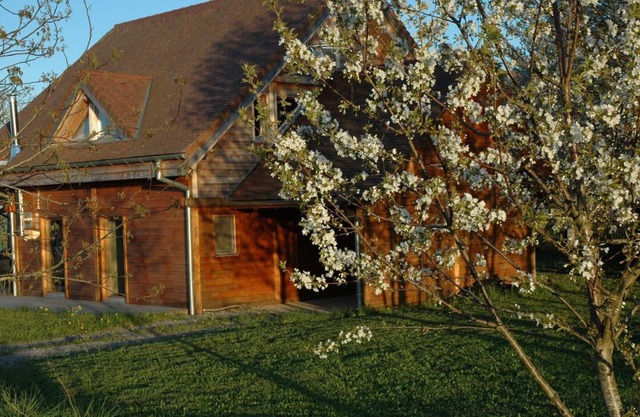 Charming chalet in vineyard, terrace and garden