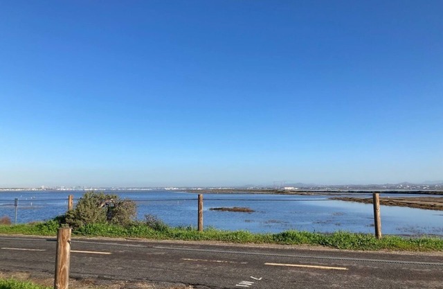 Charming Cottage by the Bay