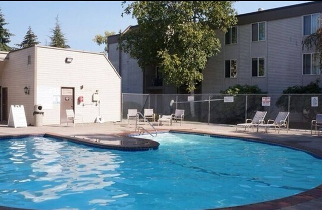 Charming Cozy Microsoft Bellevue Condo - 1 Bedroom