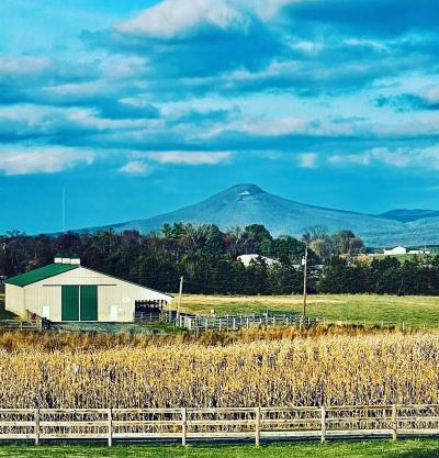 Charming Farmhouse w King Bed Hot Tub & EV Charger