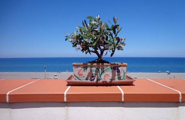 Charming flat in Marchesana with terrace