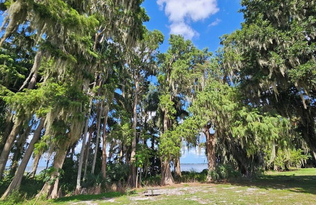 Charming Lake Front Apartment