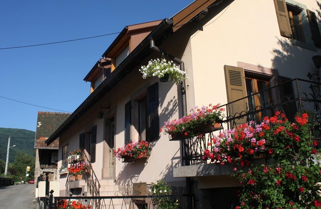 Charming quiet house in a wine village. Charming house in