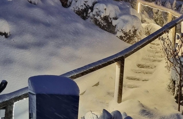 Charming south-facing chalet 15 minutes from the ski slopes! Spectacular view of the Alps