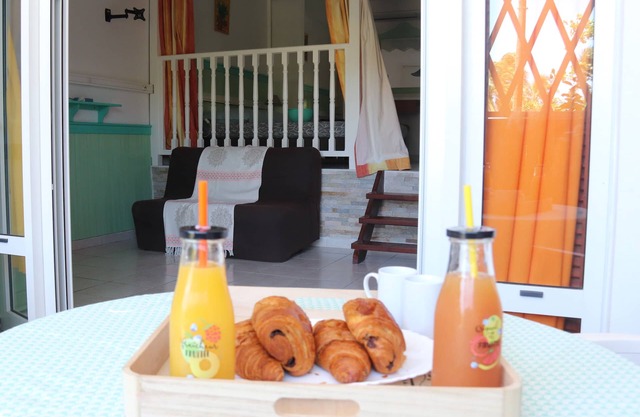 Charming T1bis facing the sea