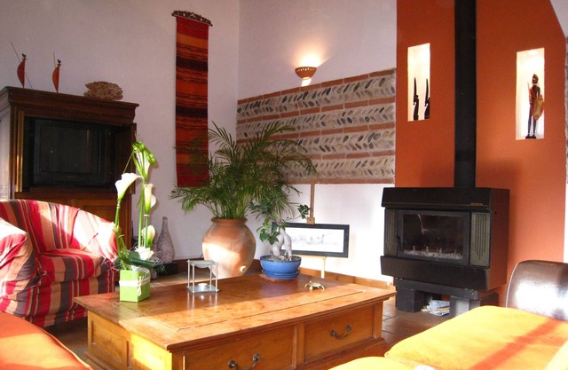 Charming Toulouse with garden