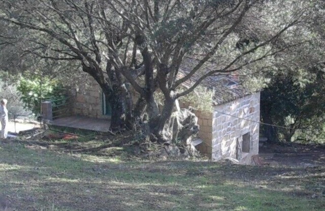 Charming traditional home in the quiet groves. 10 minutes from beaches