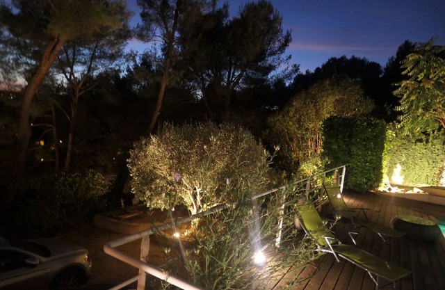 Charming villa with swimming pool nestled in the pine forest