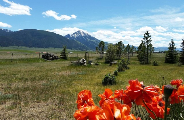 Chico Peak cabin near Yellowstone and Chico Hot Springs