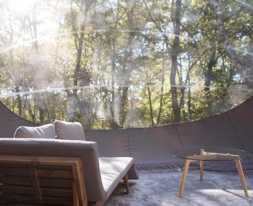 Chrysalide Saint Martin