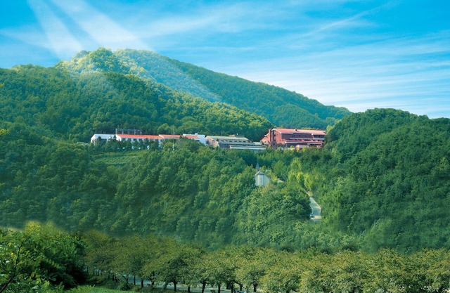 Chungju Suanbo Park Hotel