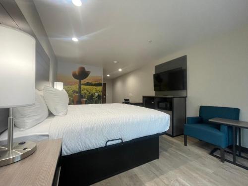 Clarion Pointe