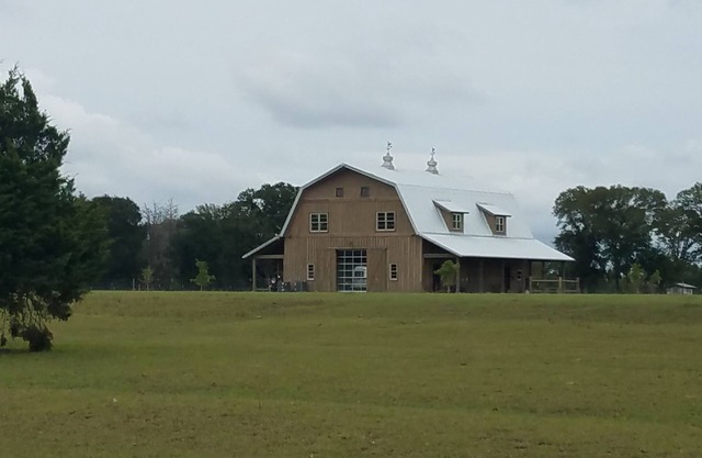 Classy Cattle Farm Experience-Wine and Bovine