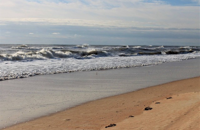 Coastal Home, Private Pool + Short Walk to the Beach!