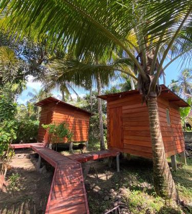 Coco Cabins by Thush