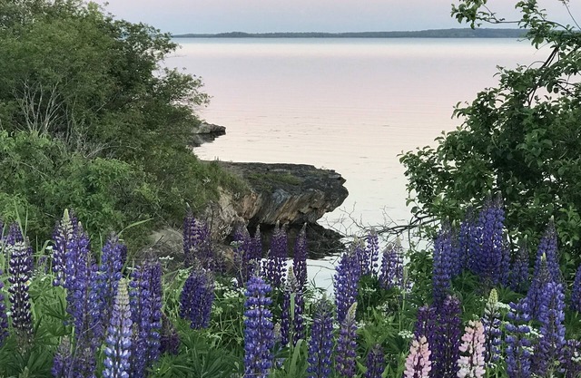 Colcord Cottage- quintessential oceanfront cottage