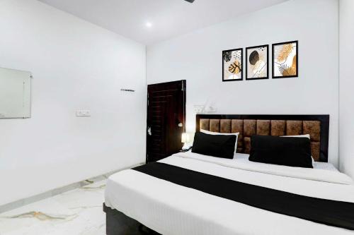 Collection O Ayodhya