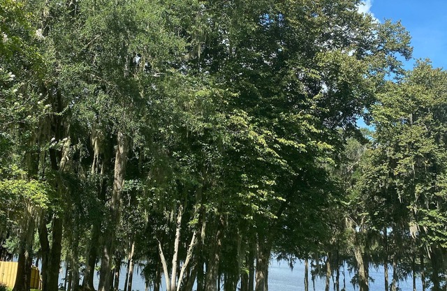 Come stay and relax at the elegant Bienvenue Bed and Breakfast Inn