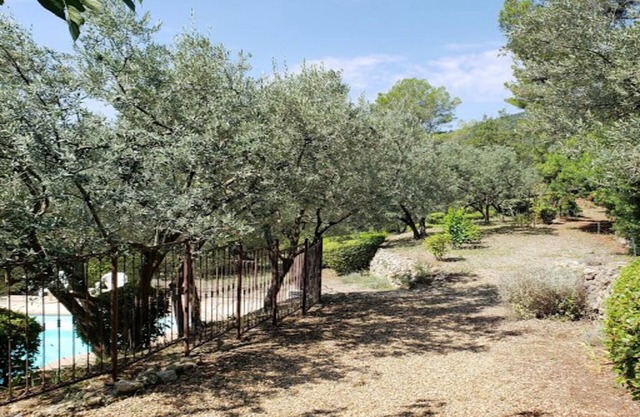 Comfortable provencal villa with great views, pool, garden & 60+ olive trees