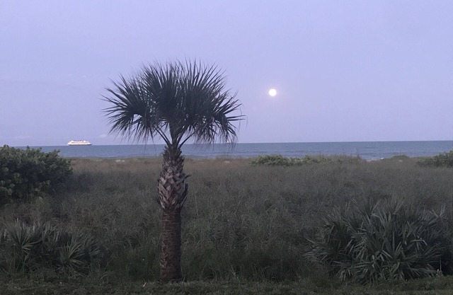 COMPLETELY REMODELED in 2020 Direct Oceanfront View 1st Floor Condo