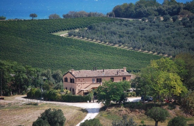 Conero, sea, countryside. Ladybugs Apartment