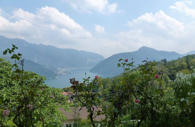 Cosy apartment for 3 people with WIFI, TV, patio, pets allowed and panoramic view