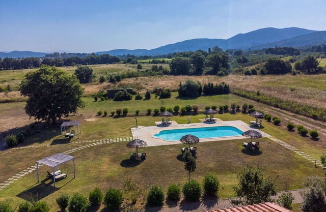 Cosy apartment for 4 people with WIFI, A/C, pool, TV, terrace, pets allowed and panoramic view