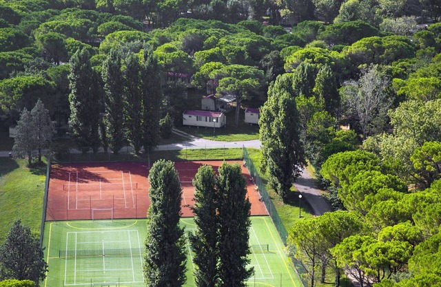 Cosy apartment in villa for 6 guests with pool, WIFI, terrace and pets allowed