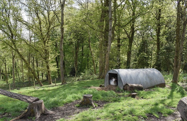 Cosy Cottage - UK34263