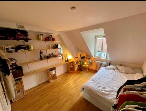 Cosy room in attic flat in the center of Zurich