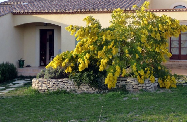 Cottage 4 pers. privileged environment large calm swimming pool