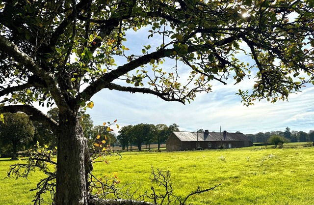 Cottage in the heart of a forest estate