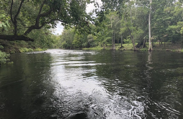 Cottage on five-acres surrounded by parks with Crystal Clear Springs!