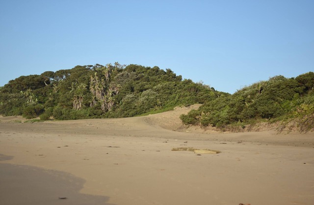 Cottage 'On the Beach'.watch the waves.from your bed!