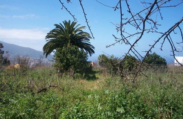 Cottage with private swimming pool from August 5 to August 15