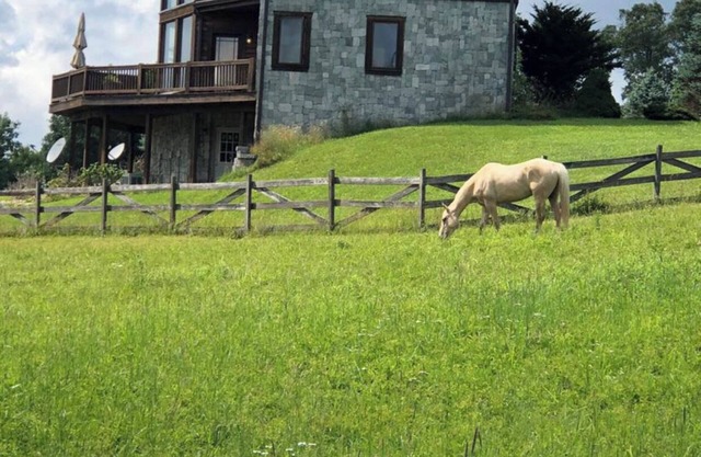 Country home, Beautiful country home with horses
