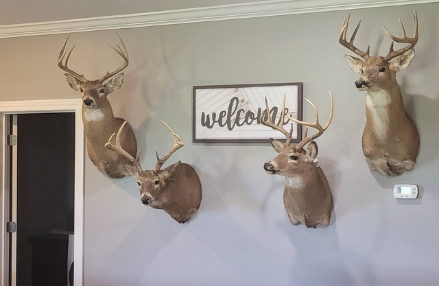 Country home getaway; great for nature lovers!