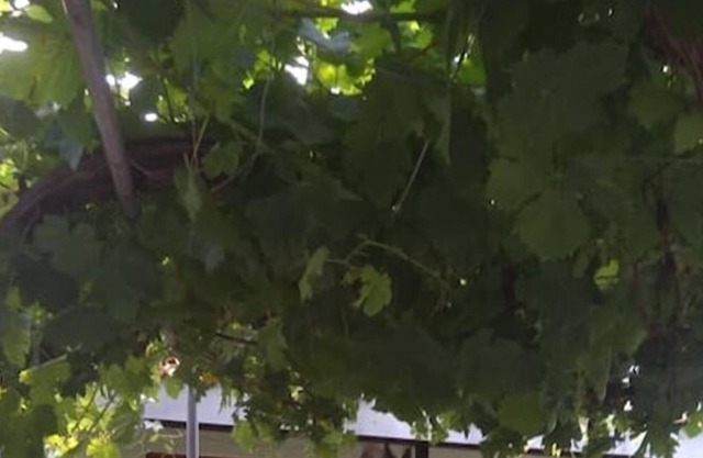 Country House Christopoulos