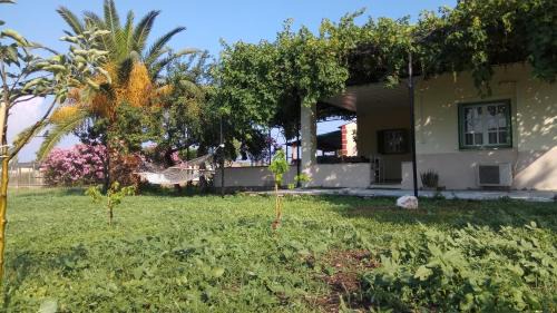 Country Village House