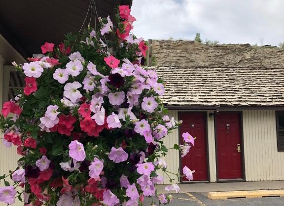Country West Motel of Rock Springs