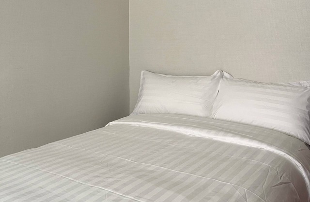 Cozy 1-bedroom apartment with WiFi, AC, in the center of Ulaanbaatar