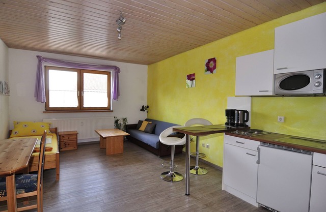 Cozy 1-room apartment (not bookable until further notice!)