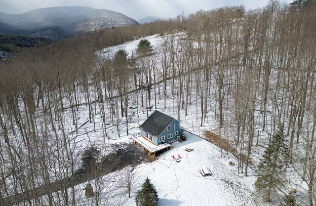 Cozy 4-Bedroom Modern Mountaintop Retreat in Jewett